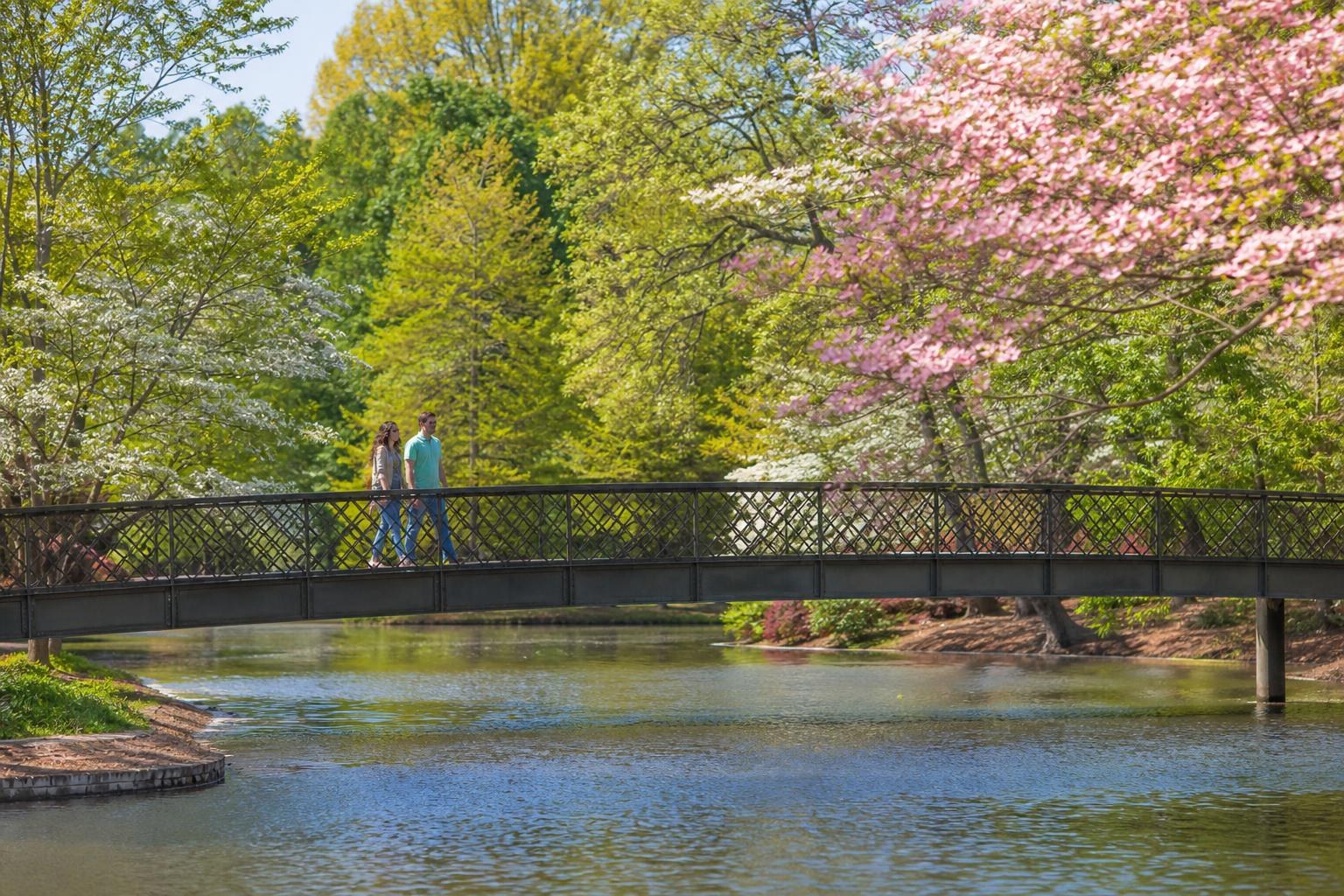 Illustration for What Is the Weather in Georgia in April?